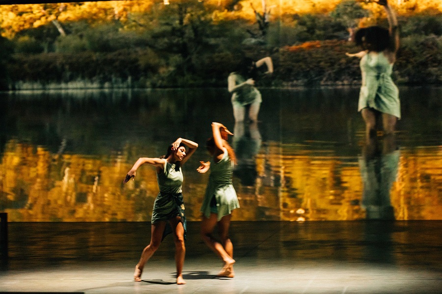 Australian Dance Party’s Sphere celebrates a decade of dance
