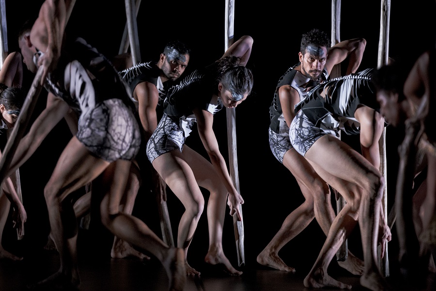 Bangarra’s triple-bill dance production honours past and present