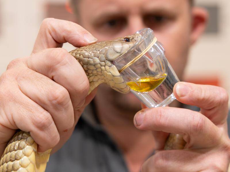 Snakes slithering southward due to climate change