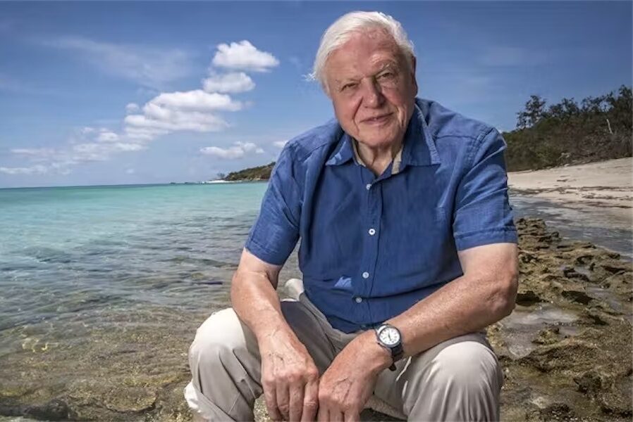 Attenborough at 100: a life driven by curiosity