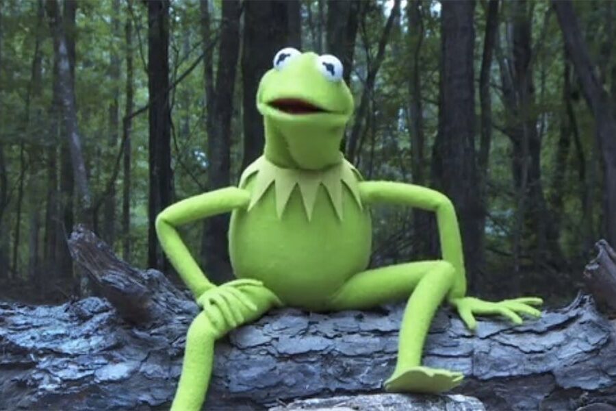 Kermit’s right: it’s not easy being Greens in Canberra