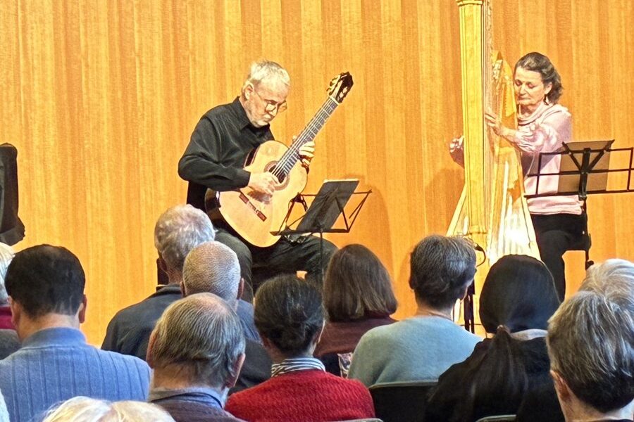 Harp and guitar proved to be the perfect match