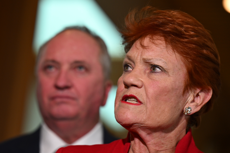 ‘Trainwreck’: One Nation forced to clarify housing plan