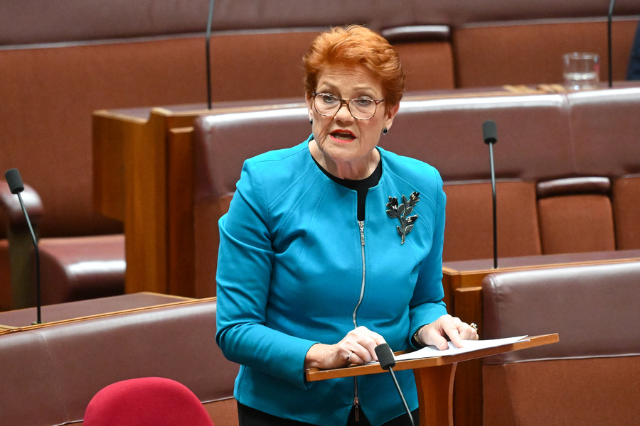 Will Labor face Hanson’s de facto opposition in 2028?