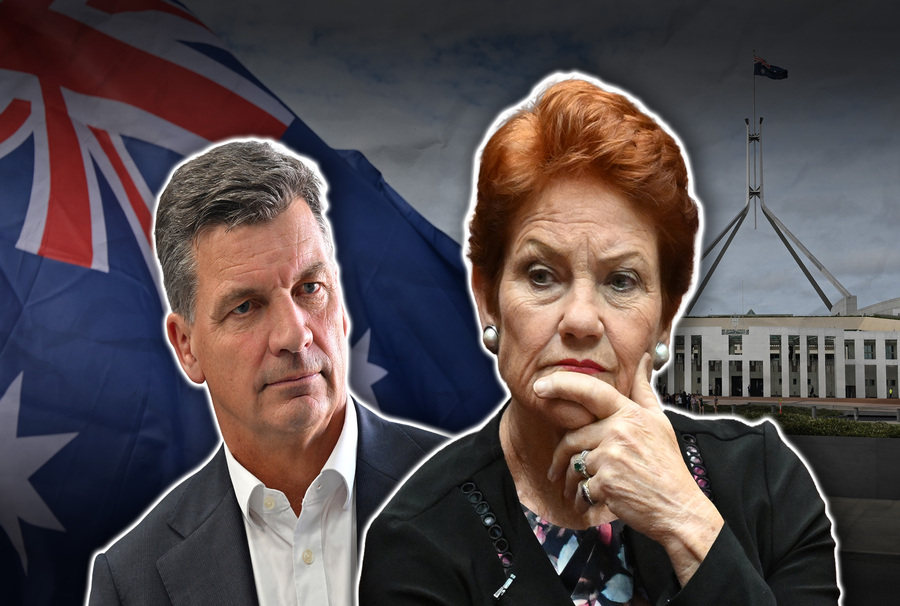 Liberal leader has ‘heavy heart’ criticising One Nation