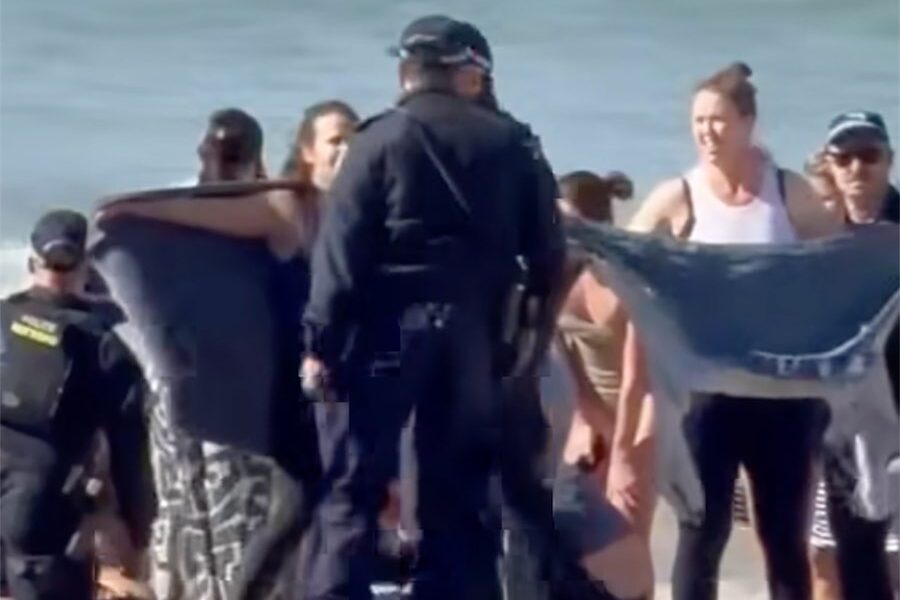 ‘Nothing off table’: shark culls on cards after attack