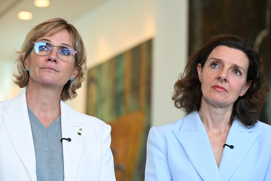 ‘Broad church’: teal party considering election tilts