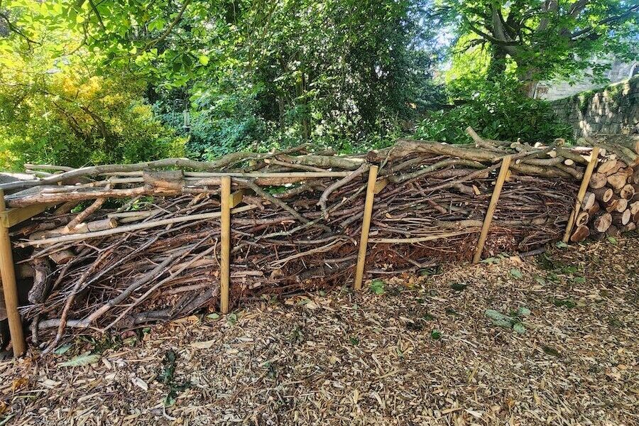 Build a dead hedge this winter