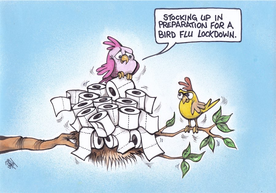 Cartoon / Dose of Dorin