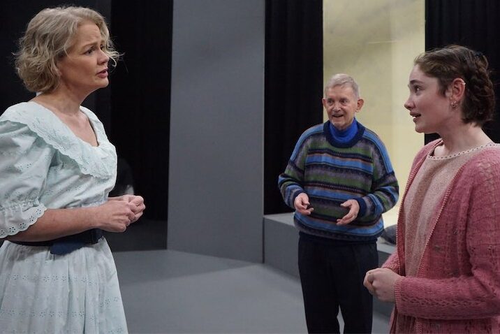 Theatrical truth in the ‘pleasant disguise of illusion’
