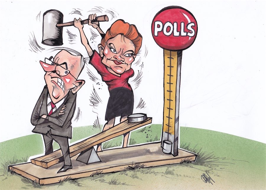 Cartoon / Dose of Dorin