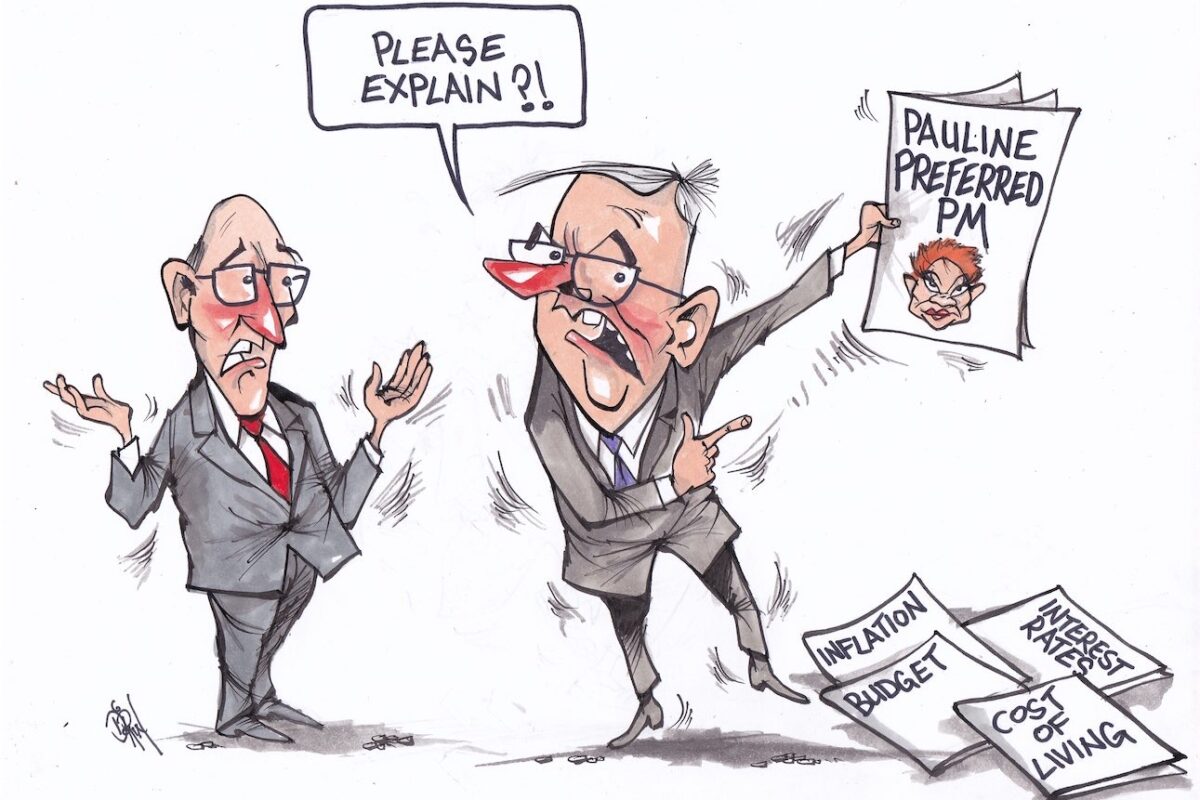 Cartoon / Dose of Dorin