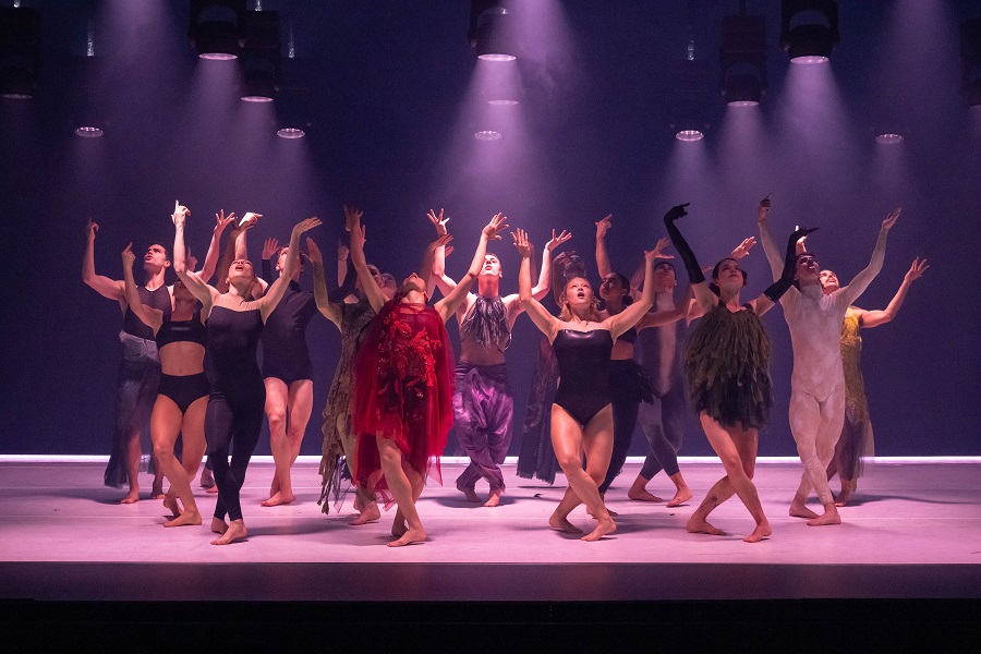 Physicality fuels Sydney Dance Company’s Engine