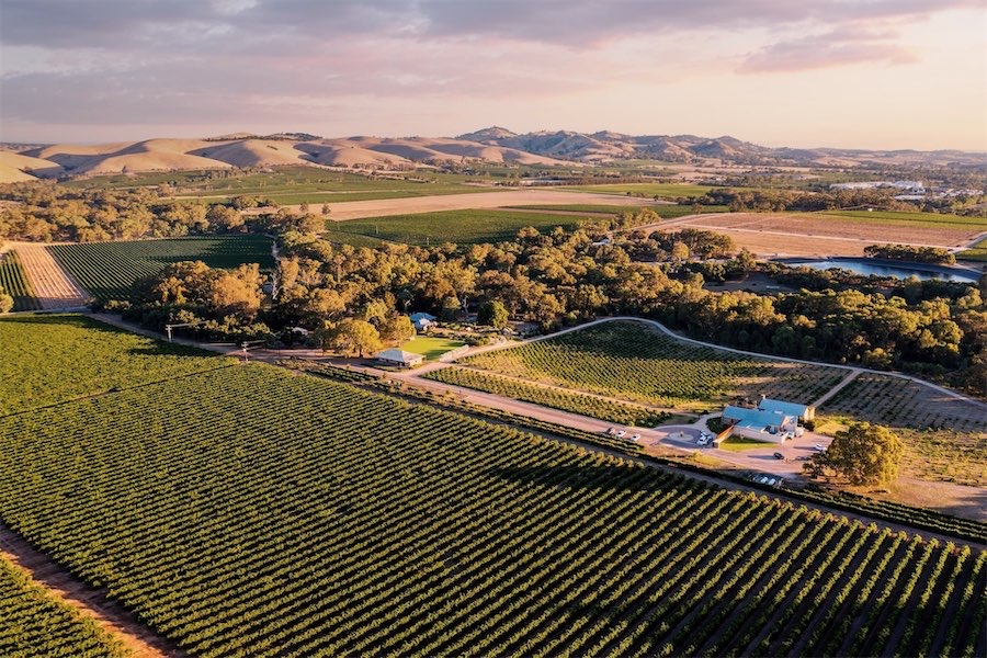 Wine’s flight to the ‘experience economy’