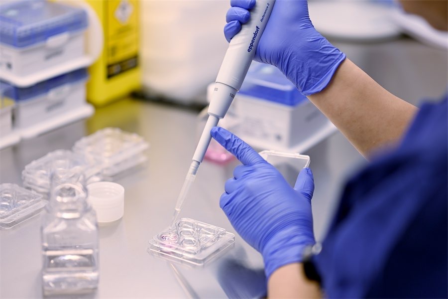 ‘Pure elation’: Aussie IVF innovation sparks baby joy