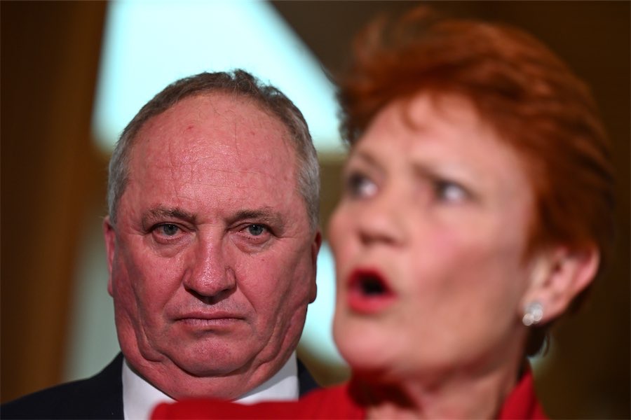 ‘No resources’: One Nation defends uncosted policies