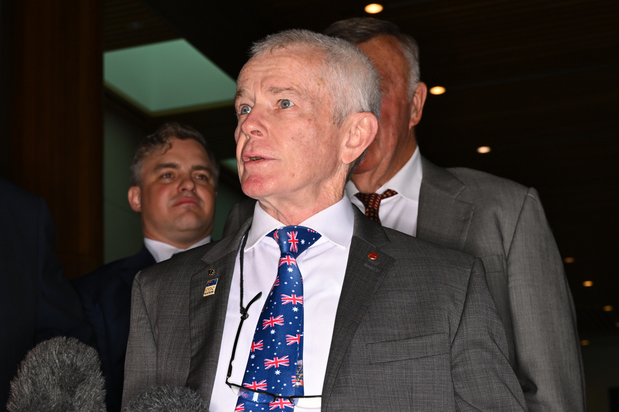 Calls for controversial One Nation senator to resign