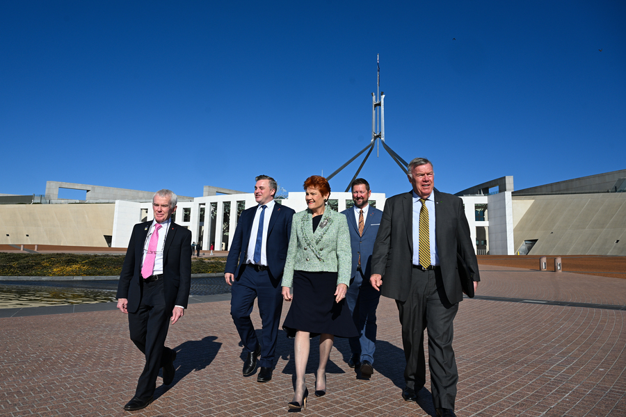 Hanson blasted for ‘atrocious’ family violence comment