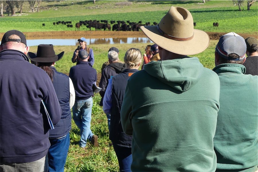 Aussie farmers and the new ballad of the virtual drover
