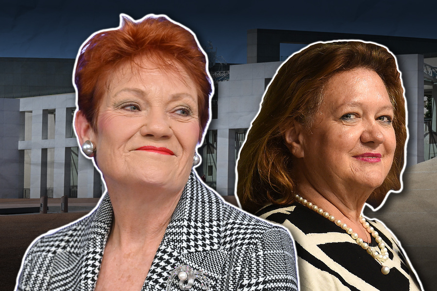Gina Rinehart paid for Pauline Hanson’s Europe flights
