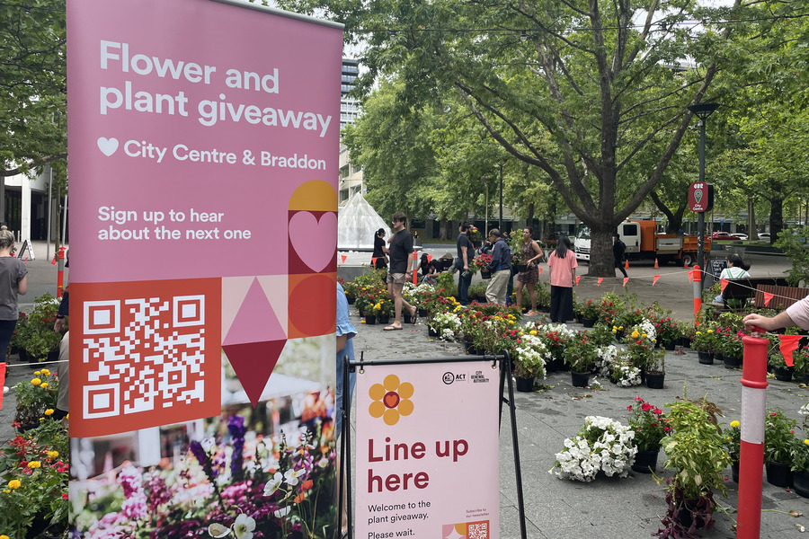 Free plants up for grabs in Haig Park