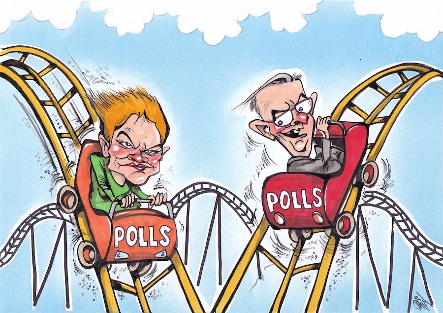 Cartoon / Dose of Dorin