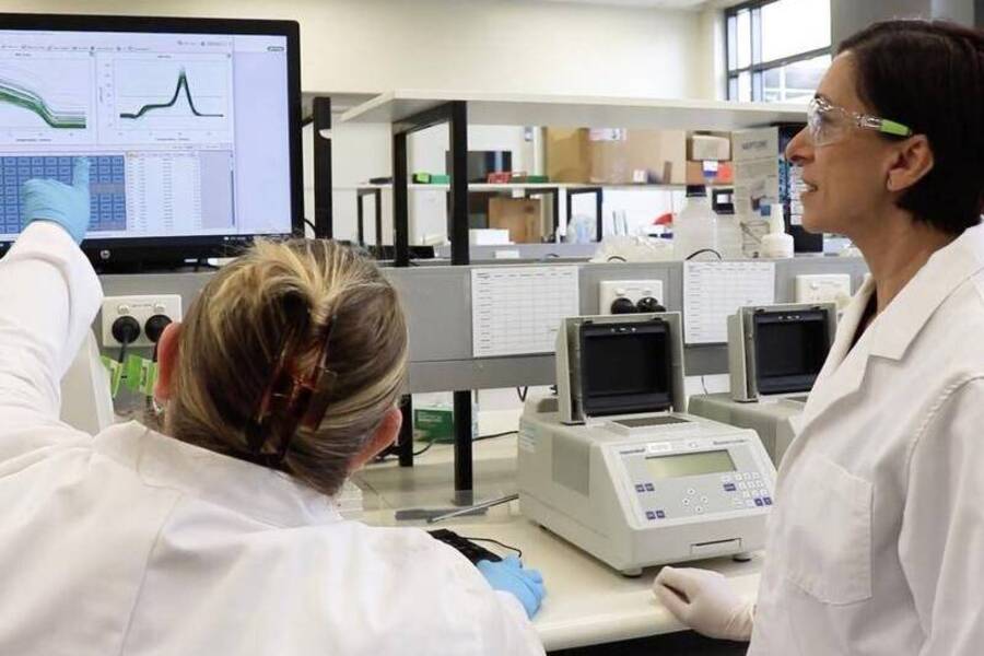 New test provides hope for menopause ‘tunnel of chaos’