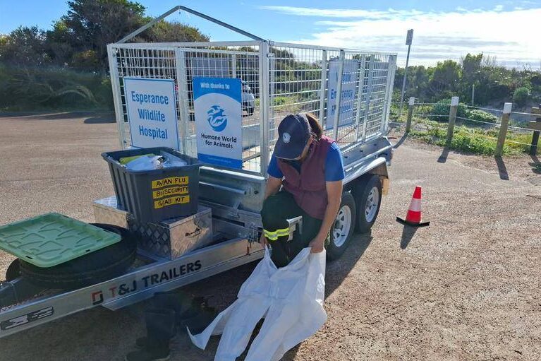 Bird flu surveillance ramped up on coastline