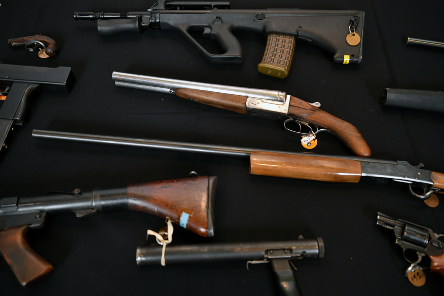 Beleaguered gun buyback costly, inaction costlier: PM