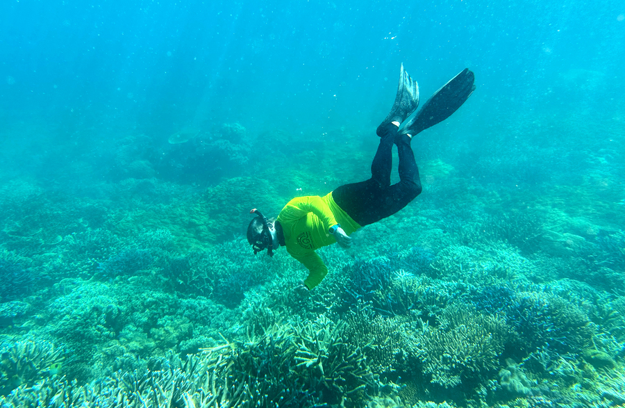 Australia’s coral reefs retreat as heatwaves intensify