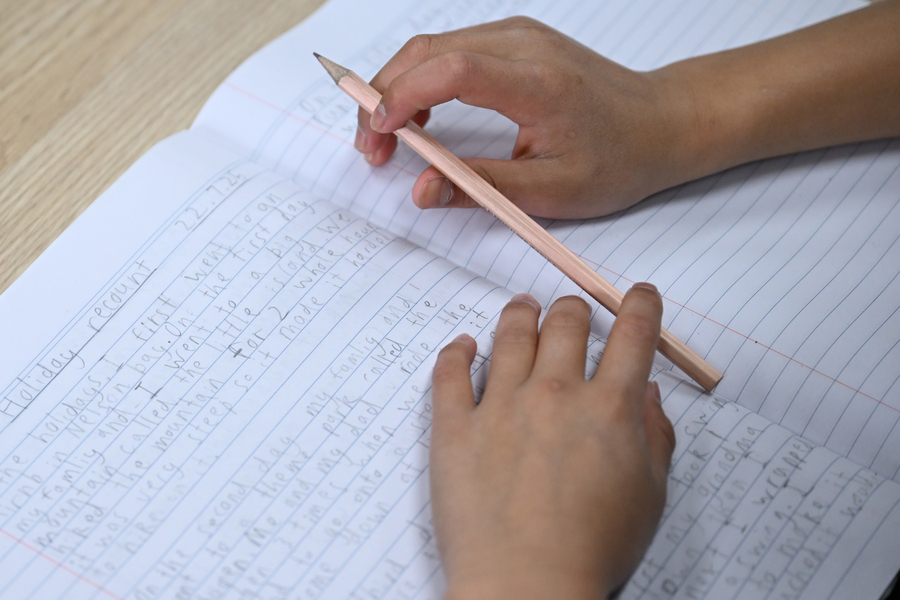 Lost for words: national reading, writing results slip