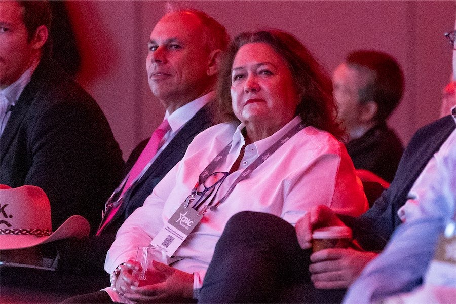 Fruity film fantasy riles free-speech fan Rinehart