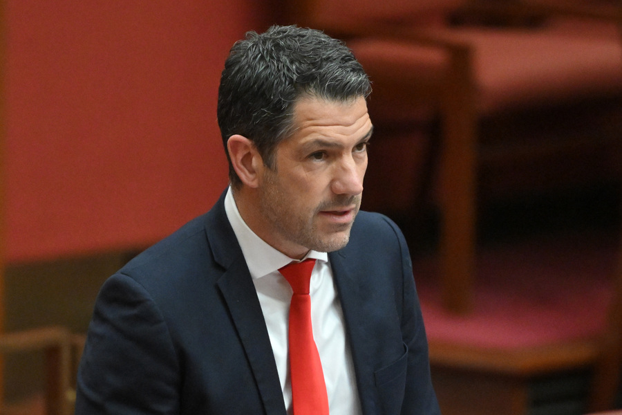 Antic presidency bid divides SA Liberals
