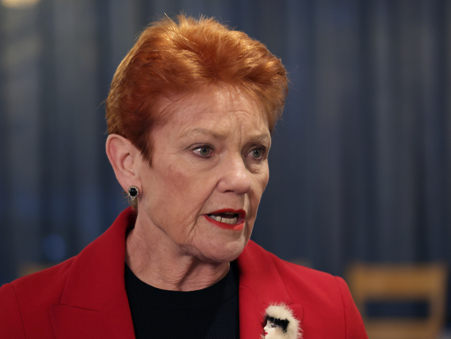 One Nation defends use of party funds for European trip