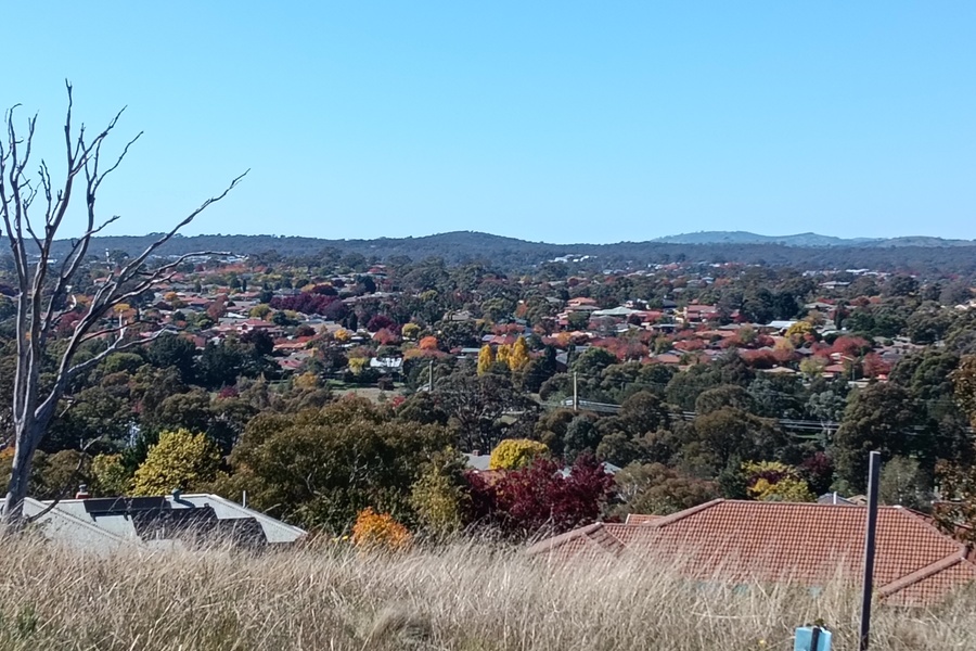 Canberra resale losses rise