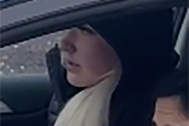 Woman sought after Denman Prospect break-in