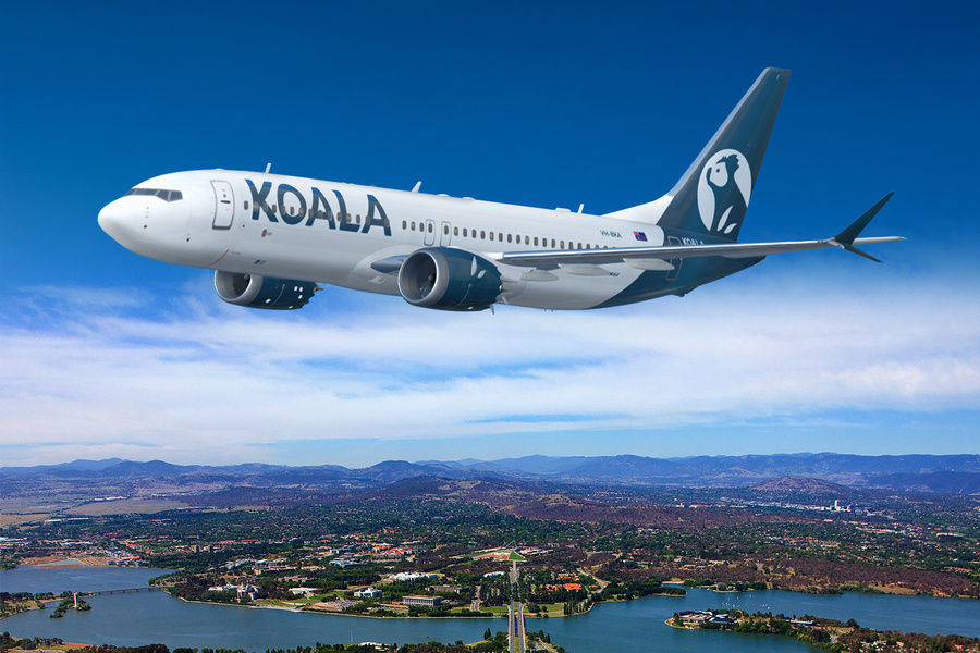 Koala keeps Canberra guessing