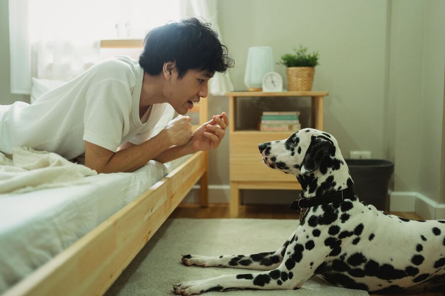 Why do we use ‘baby voice’ when we speak to pets?