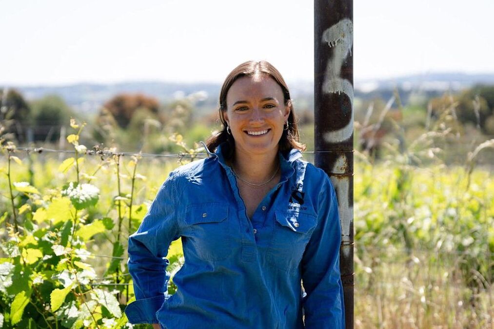 Grapes of math: how solar plus sheep equals good wine