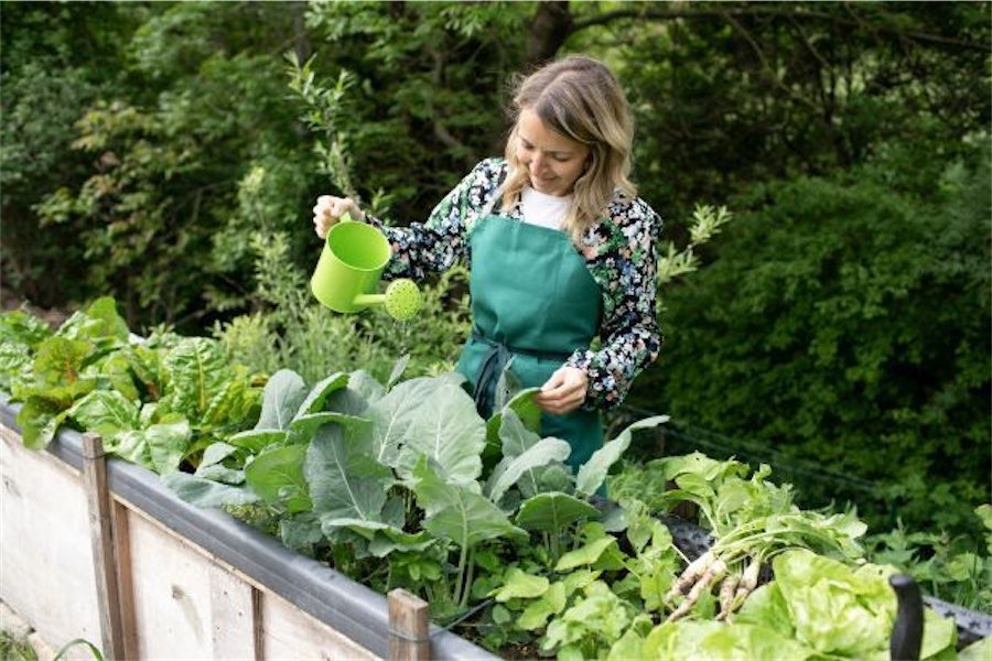 Home gardens linked to lower diabetes risk