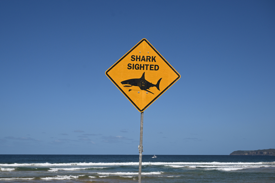 Shark attack leaves man in serious condition