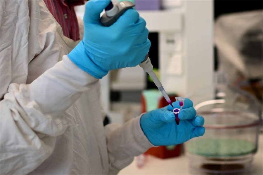 Elevated rates of MND found in regional Australia