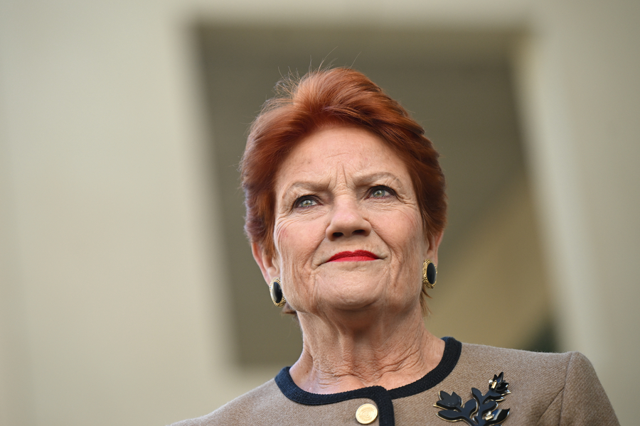 ‘Economically disastrous’: Hanson’s super policy panned