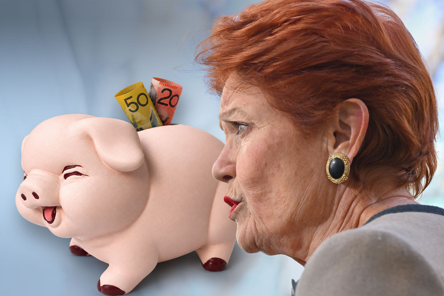One Nation rejects need to model proposed super changes