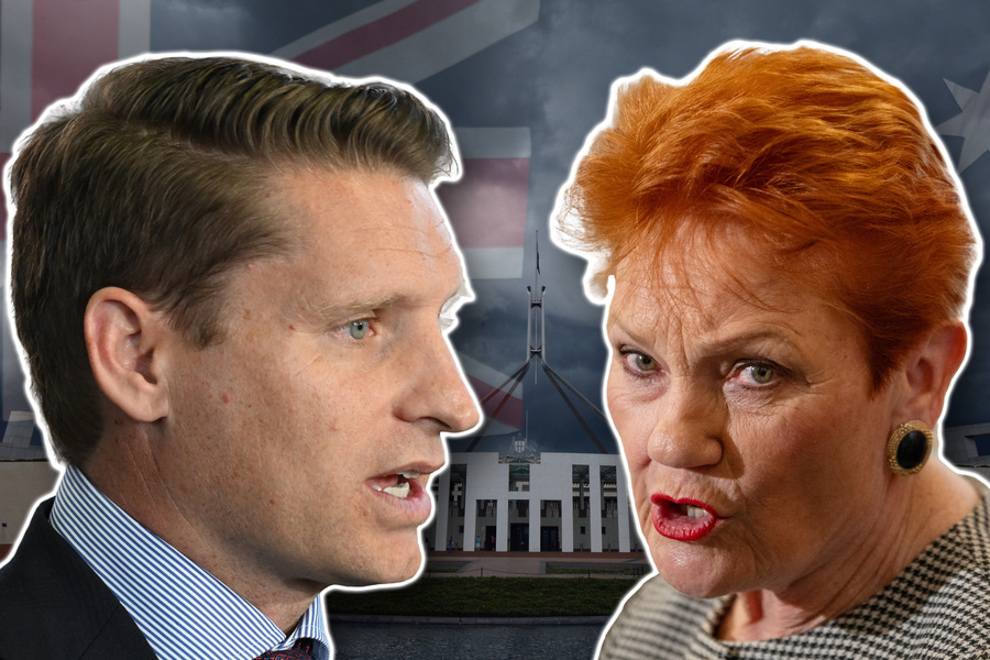 ‘Lowest bit of life’: foes back MP over One Nation slur
