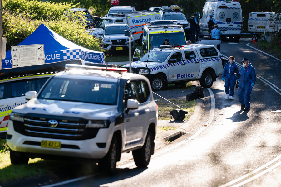 Mother allegedly behind stabbing attack that killed one