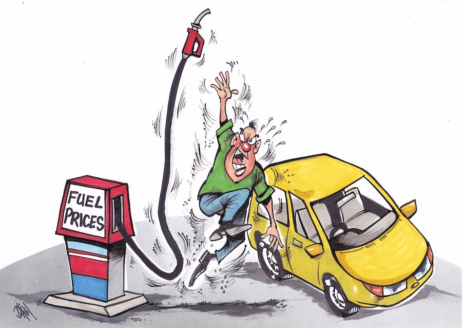 Cartoon / Dose of Dorin