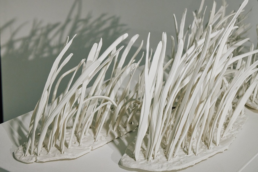 Where porcelain meets the rugged coast