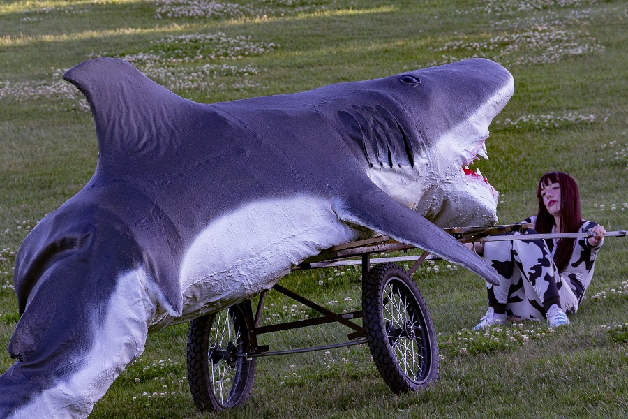 Canberra artist's shark adventure makes waves