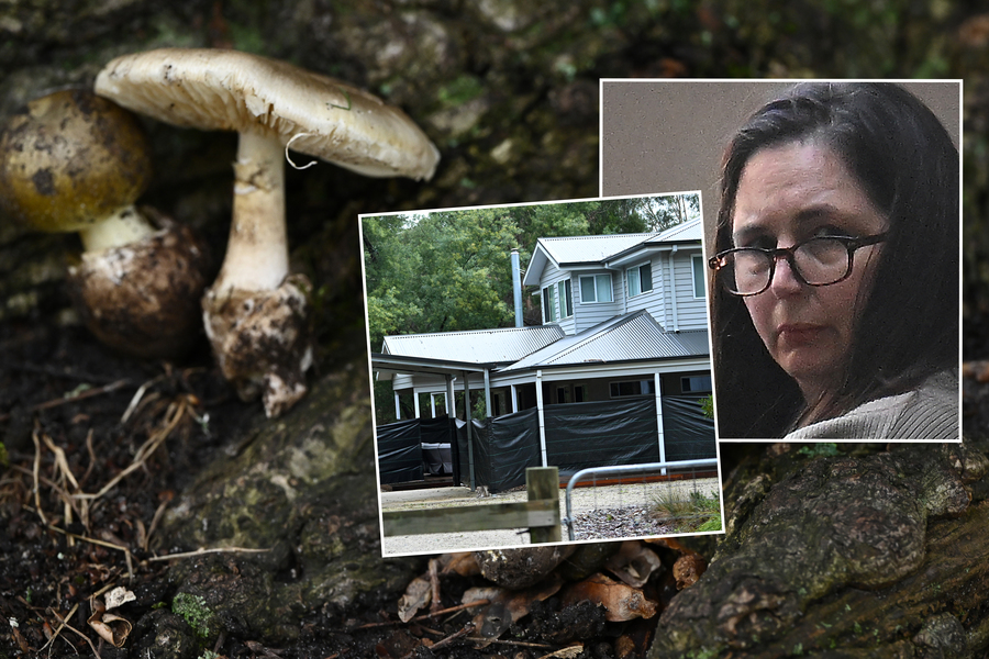 Six ways mushroom killer’s appeal could turn out
